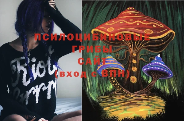 прущий лед Елабуга