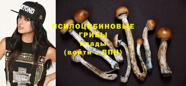 прущий лед Елабуга