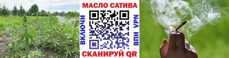 ТГК THC oil сколько стоит Соль-Илецк