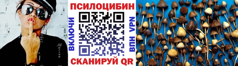 mega ССЫЛКА Соль-Илецк Галлюциногенные грибы Cubensis