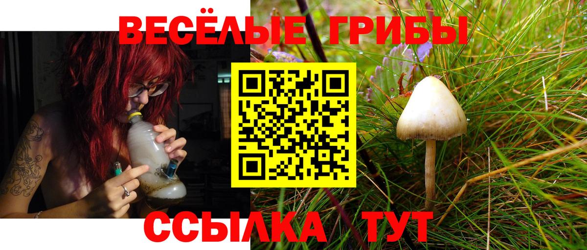 Псилоцибиновые грибы Cubensis  Вход с VPN  Соль-Илецк 